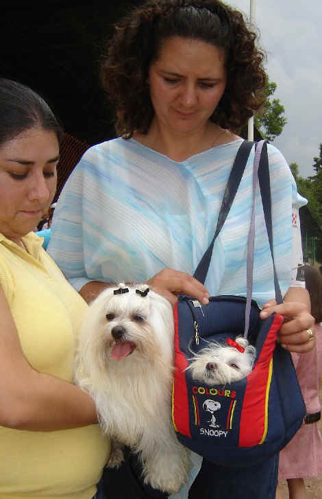 Este Maltes, fue el Ganador en su grupo