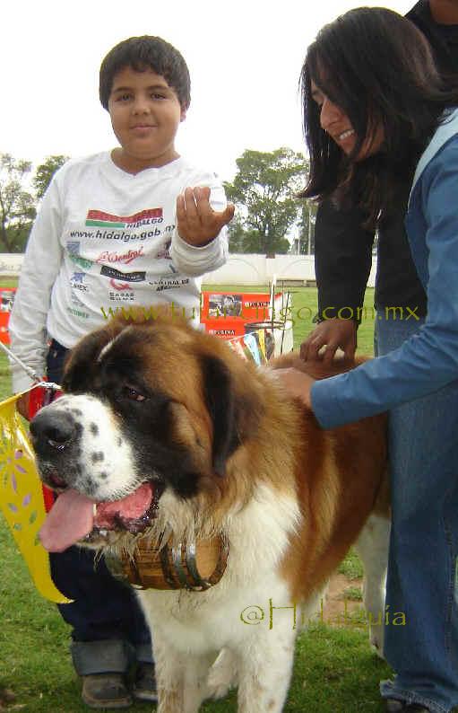 Len Felipe, Turco, y ms personas que deseaban tocar a la docil mascota