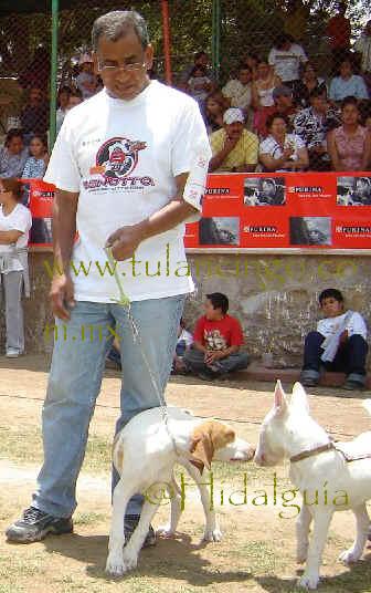 Dr. Morgado contento con el premio de su mascota, en un excelente segundo lugar en su grupo!!!